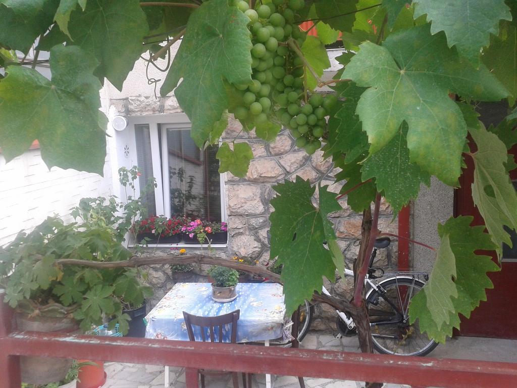 Hotel House Nativa Ohrid Esterno foto